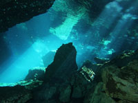 アドバンスド・トライミックス画像