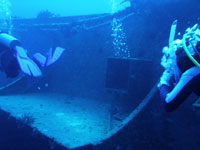 アドバンスド・レック画像