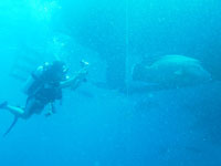 アシスタントインストラクター画像