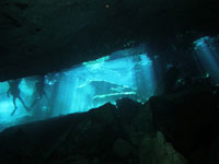 リブリーザー画像