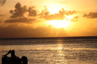 コースディレクター画像