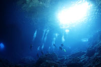 ダイブマスター画像