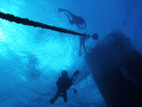 デコンプレッション・プロシージャー画像