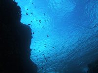 エキステンド・レンジ画像