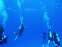 マスターダイバー画像