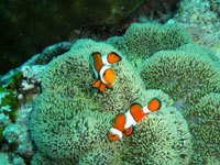 マスターインストラクター画像