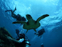 プロフェッショナルインストラクター画像